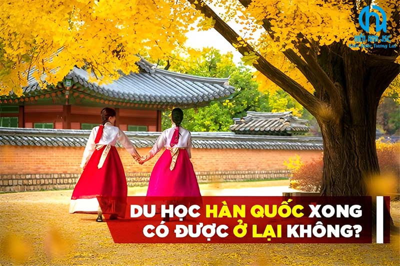 du-hoc-han-quoc-xong-co-duoc-o-lai-khong-1