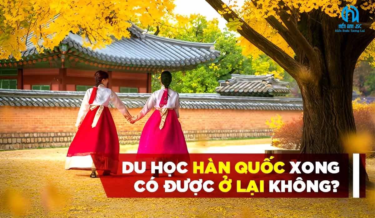 du-hoc-han-quoc-xong-co-duoc-o-lai-khong