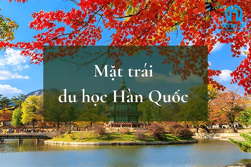 mat-trai-cua-du-hoc-han-quoc-1